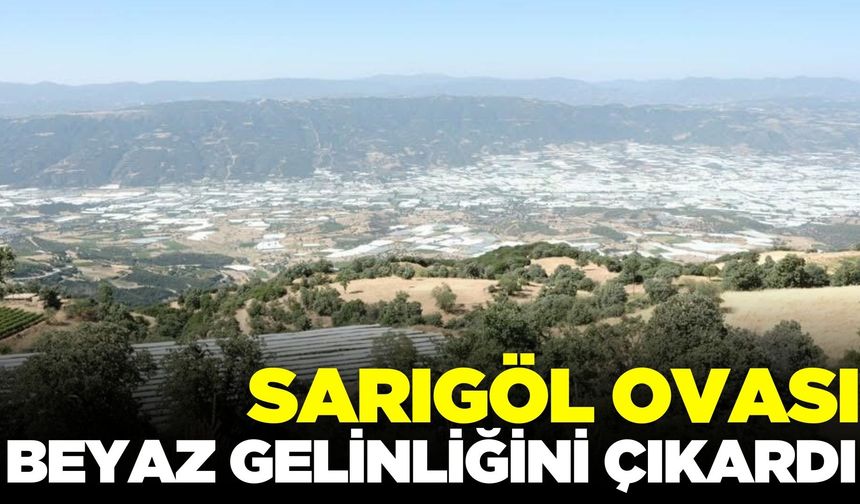 Sarıgöl Ovası yeniden yeşerdi!