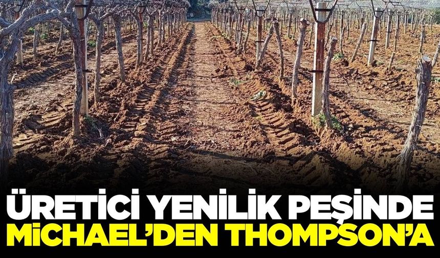 Sarıgöl'de bağcılar yenilik arıyor