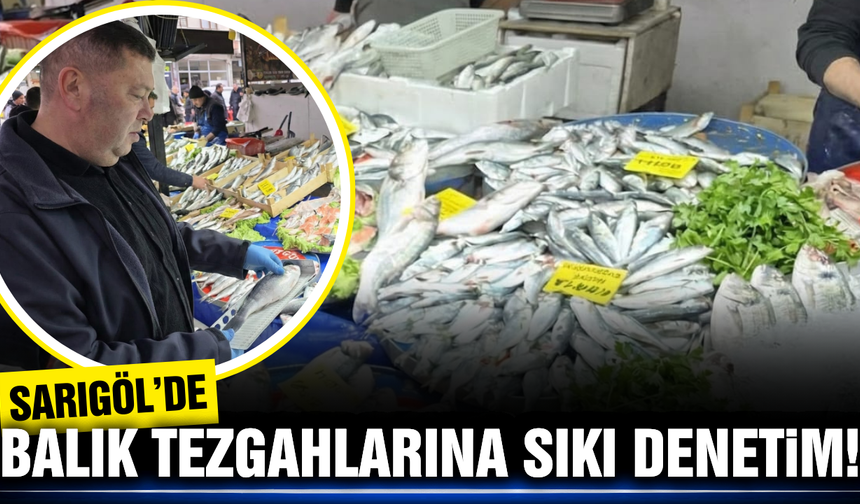 Sarıgöl'de balık tezgahları mercek altında!