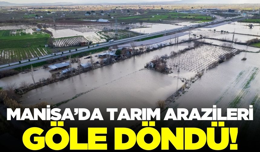 Manisa'da taşkın hasarı gün ağarınca ortaya çıktı
