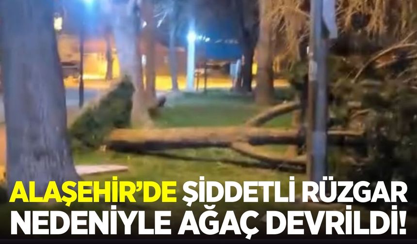 Alaşehir'i fırtına vurdu: Ağaçlar devrildi