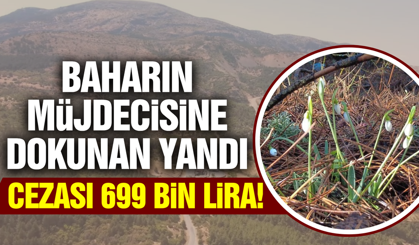 Bu çiçeği koparan yandı: Cezası tam 699 bin lira!