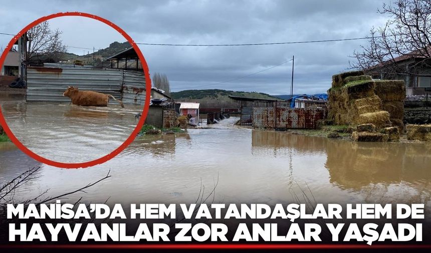 Kula'da yağışlar su taşkınlarına sebep oldu!