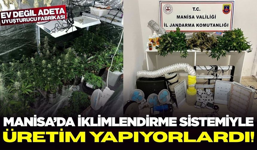 Manisa’da Uyuşturucu Serasına Darbe: İklimlendirme Sistemiyle Üretim Yapıyorlardı!