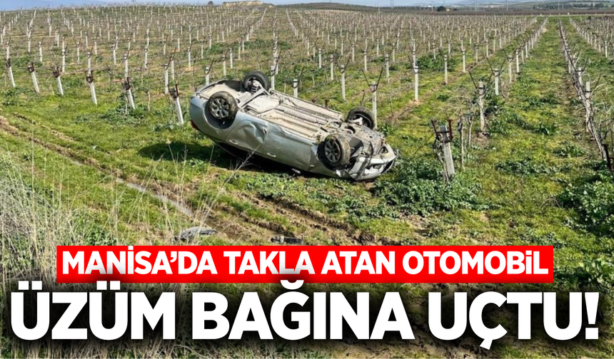 Manisa'da kontrolden çıkan otomobil üzüm bağına uçtu: 1 yaralı