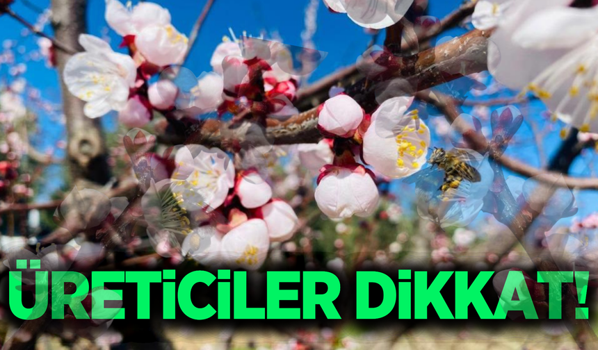 Manisa'da üreticilere kritik uyarı: Bu hastalığa dikkat!