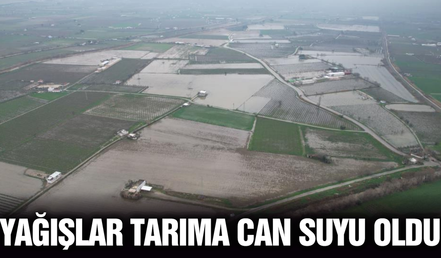 Manisa’da yağışlar yeraltı sularına can verdi