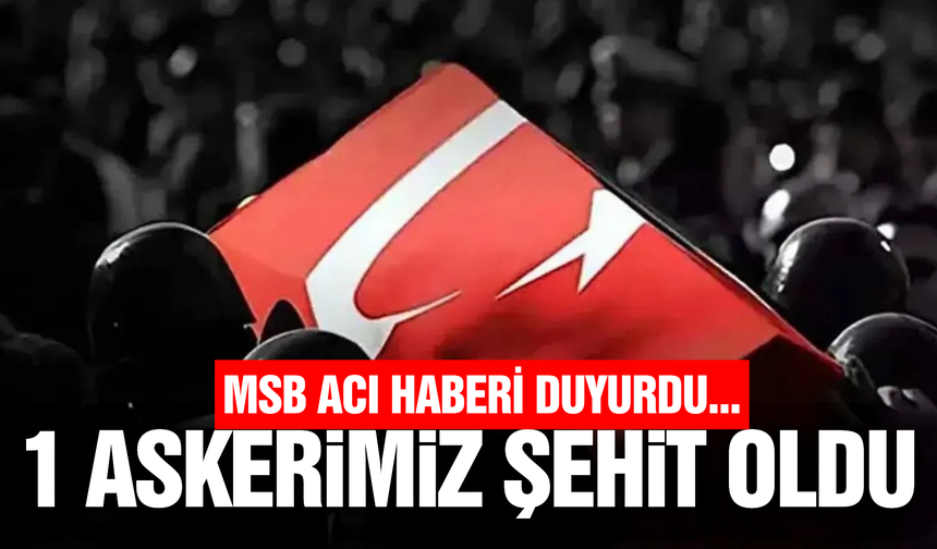 MSB acı haberi duyurdu: Bir askerimiz şehit oldu