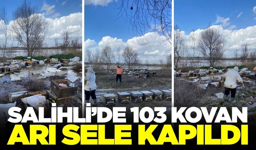 Salihli’de sel felaketi hayvancılığı da vurdu