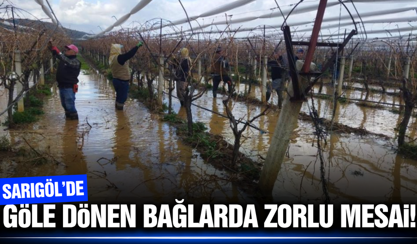 Sarıgöl'de işçilerin zorlu mesaisi!