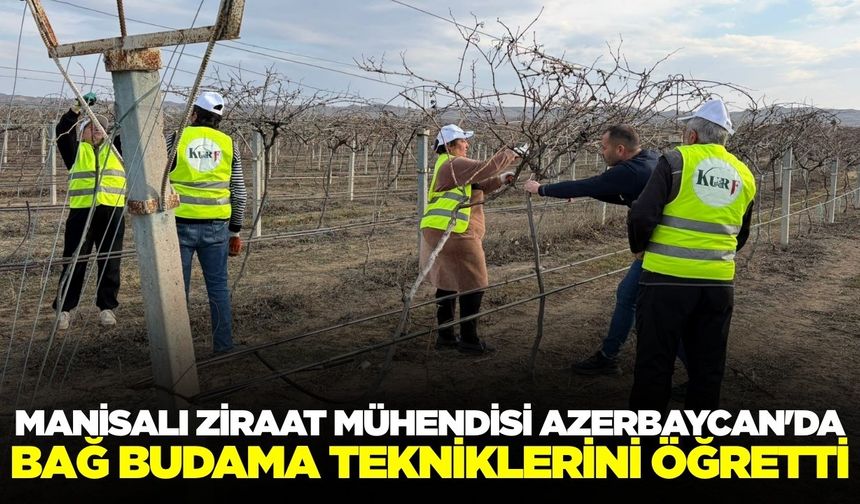 Sarıgöllü mühendisten Azerbaycan'da budama eğitimi