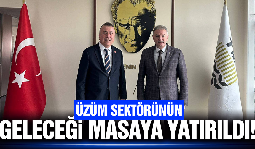 Tariş Üzüm Birliği'nden TMO'ya ziyaret!