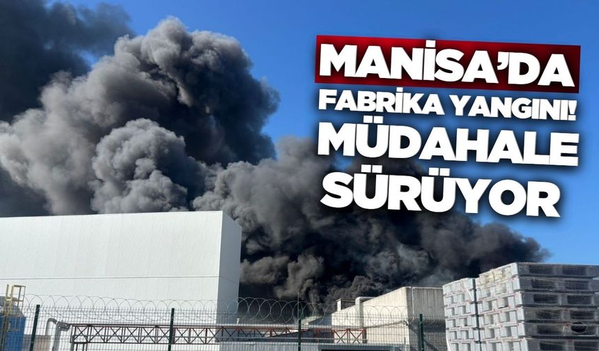Manisa'da oyuncak fabrikasında yangın