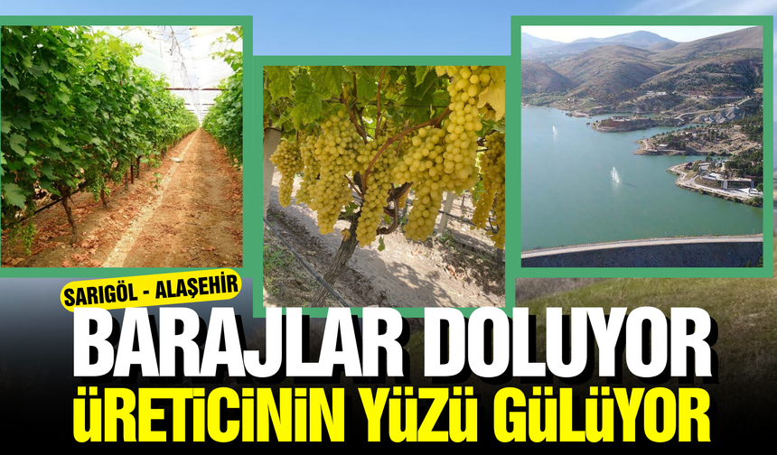 Sarıgöl ve Alaşehir'de Barajlar Doluyor