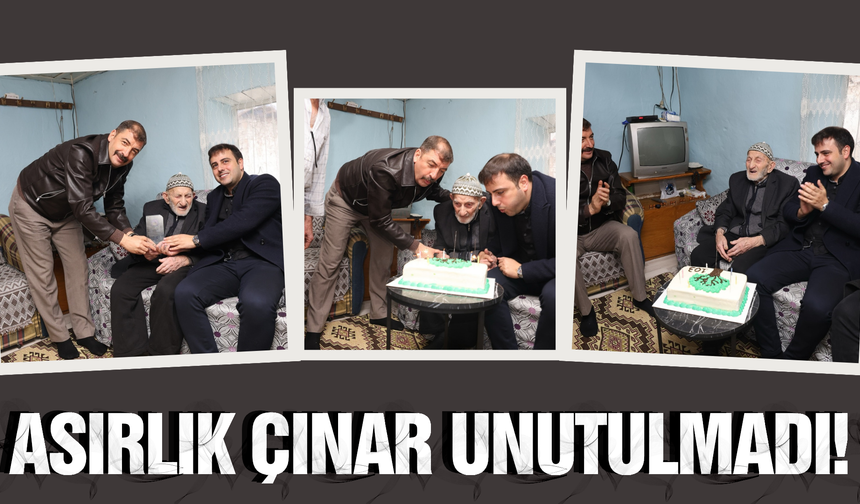 Kula'nın asırlık çınarına anlamlı ziyaret!