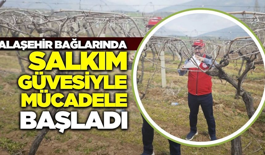 Alaşehir'de 14 mahallede eş zamanlı çalışma!