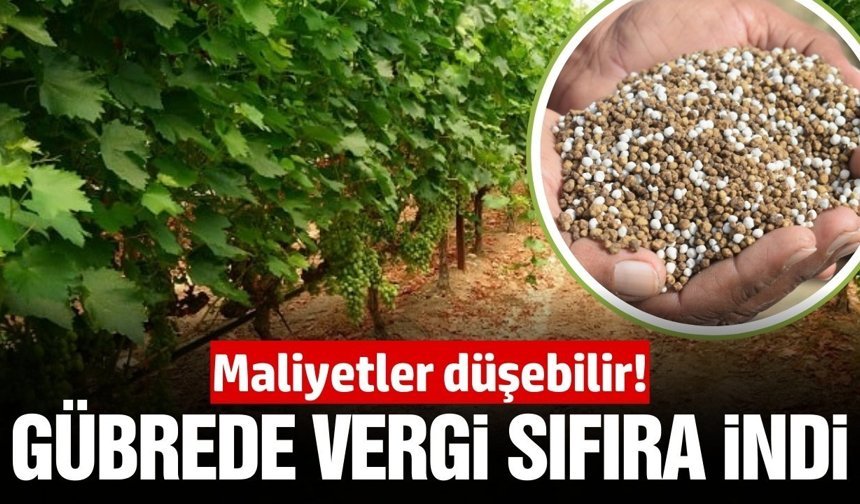 Bu sefer güzel haber! Gübrede vergi sıfırlandı