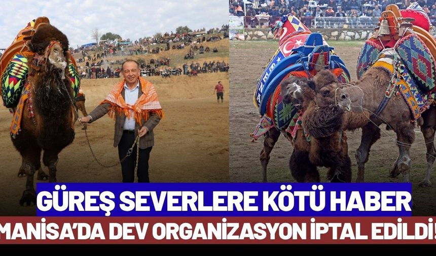 Başkan Akın duyurdu: Deve güreşi iptal edildi!