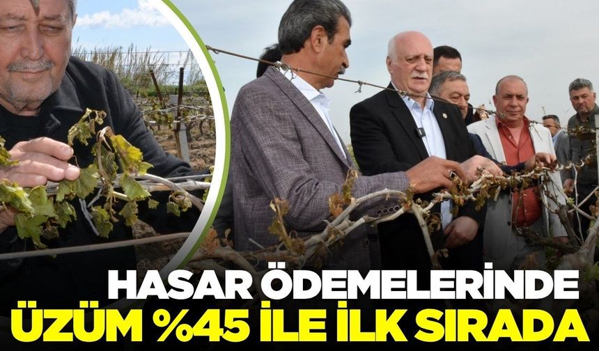 Manisa’da üzüm üreticisine destek: 12,3 Milyar TL ödendi