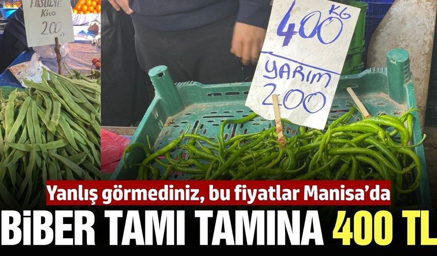 Manisa'da biberin kilosu 400 TL'ye dayandı