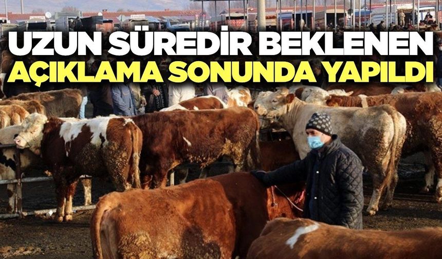 Manisa'da faaliyet yeniden başlıyor