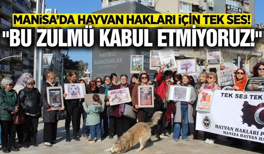 Manisa'da hayvanseverlerden çağrı: "Barınaklar İnfaz Koridoruna Dönüşmesin"