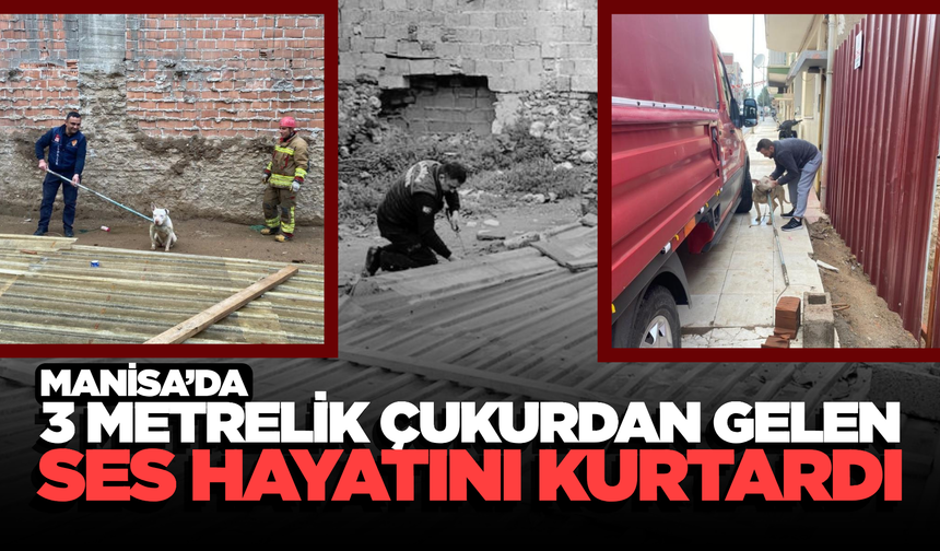 Alaşehir'de 3 metrelik çukura düşen köpek kurtarıldı