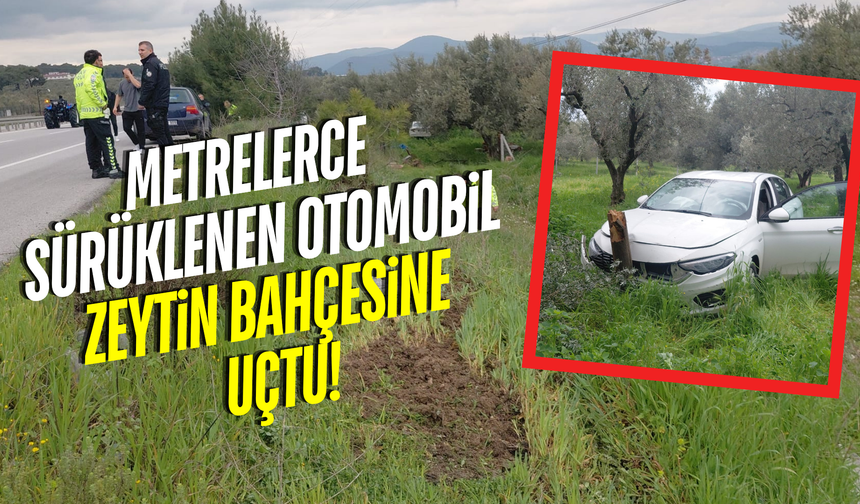 Manisa'da otomobil zeytin bahçesine uçtu: 1 yaralı