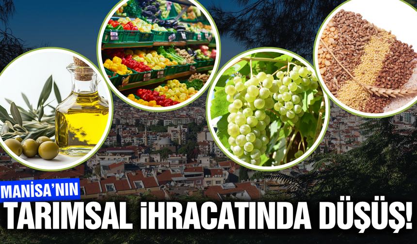 Manisa'nın tarım ihracatı Şubat'ta 82 milyon dolar oldu