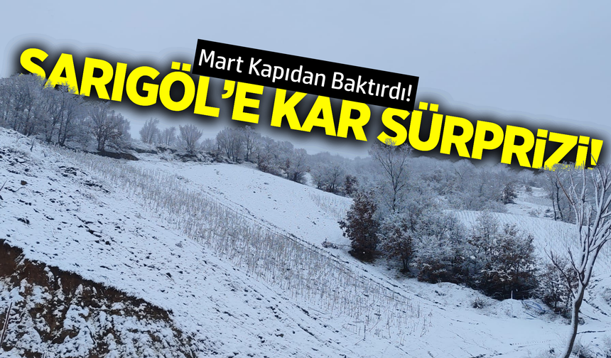 Mart ayında Sarıgöl'de kar sürprizi!