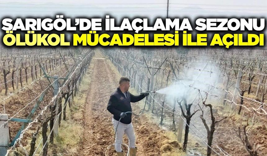 Sarıgöl Ovası bu sefer beyaza değil, maviye bürünüyor