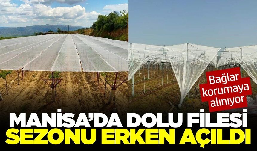 Sarıgöl’de Sultaniye üzüm bağlarına dolu filesi önlemi