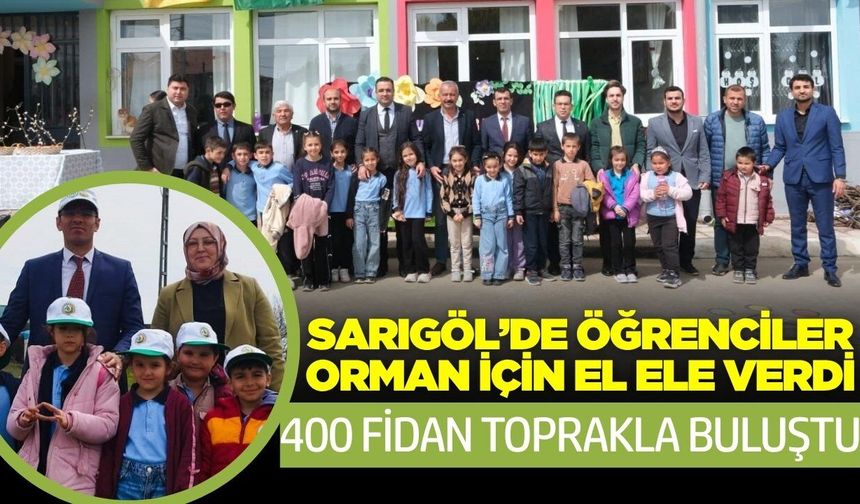 Sarıgöl'de yüzlerce fıstık çamı toprakla buluştu!