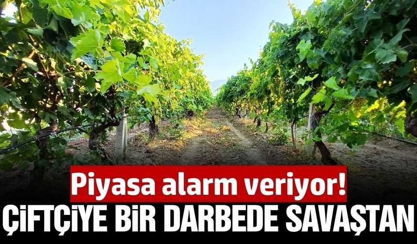 Savaş yine çiftçiyi vurdu: Gübre piyasası alarm veriyor