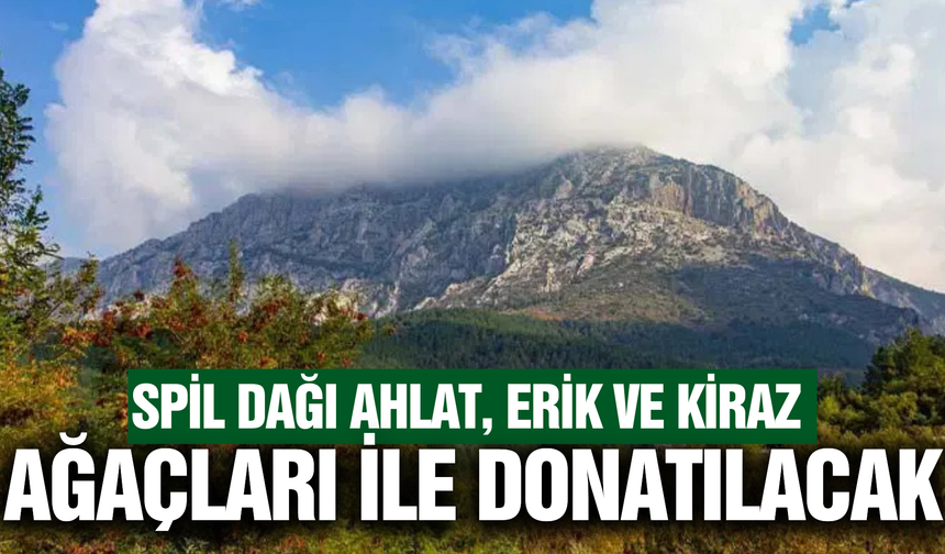 Spil Dağı'nda dev aşılama seferberliği!