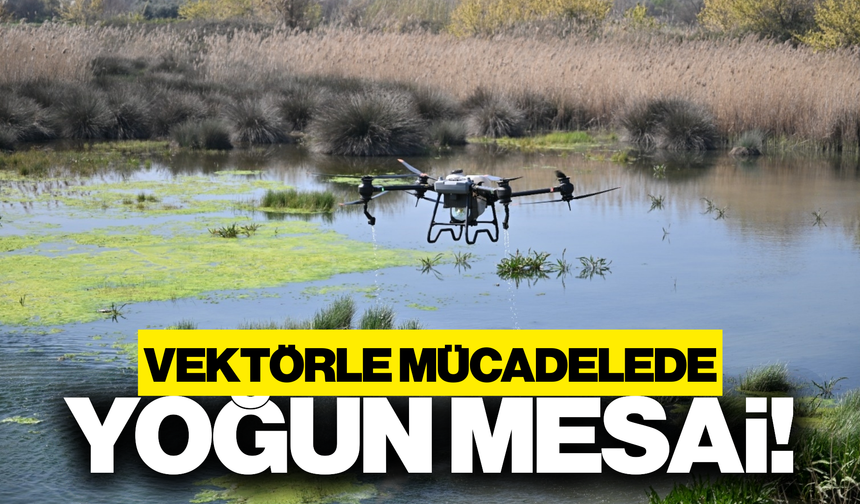 Manisa'da vektörle mücadelede dronlu takip!
