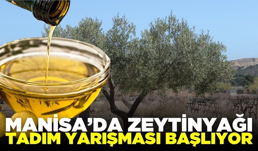 Manisa'da Zeytinyağı tadım yarışması başlıyor