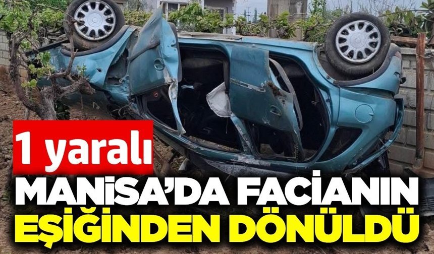 Alaşehir'de otomobil üzüm bağına savruldu