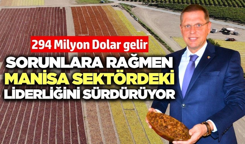 Manisa dünya kuru üzüm piyasasında liderliğini sürdürüyor