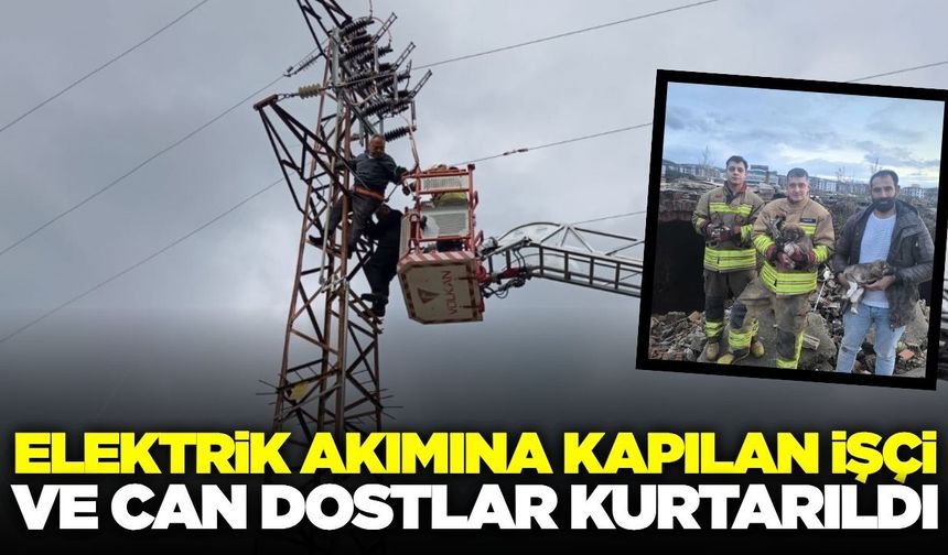 Manisa itfaiyesi hayat kurtarmaya devam ediyor!
