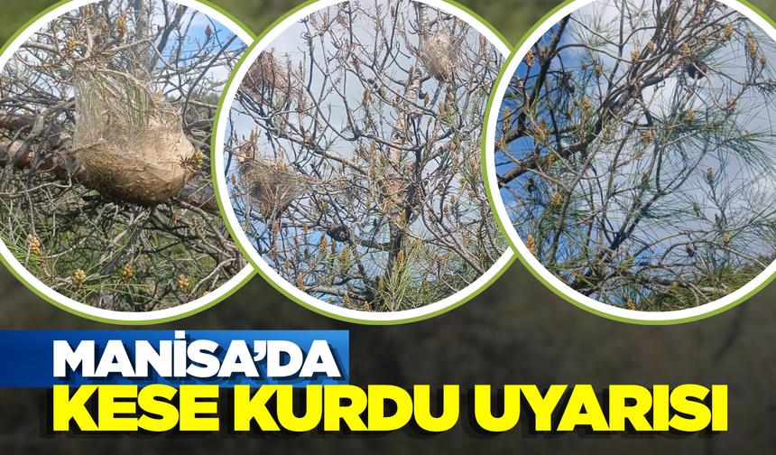 Sarıgöl'de vatandaşlara mücadele uyarısı!