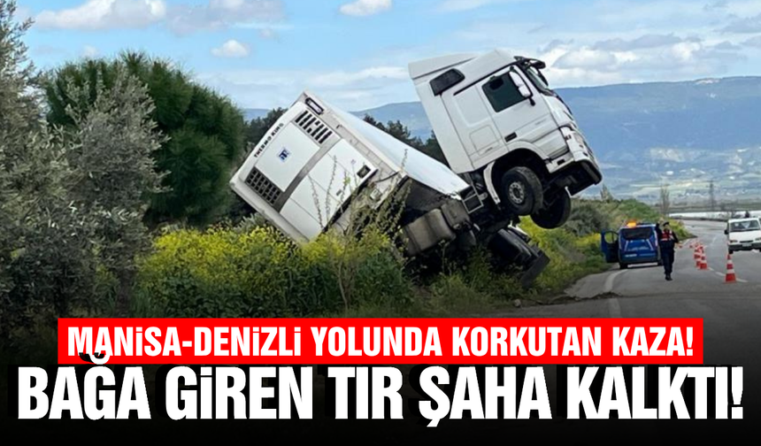 Manisa-Denizli yolunda kontrolden çıkan tır bağa girdi!