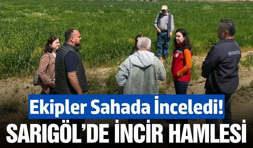 Sarıgöl'de ekipler alternatif ürün arayışı için sahada