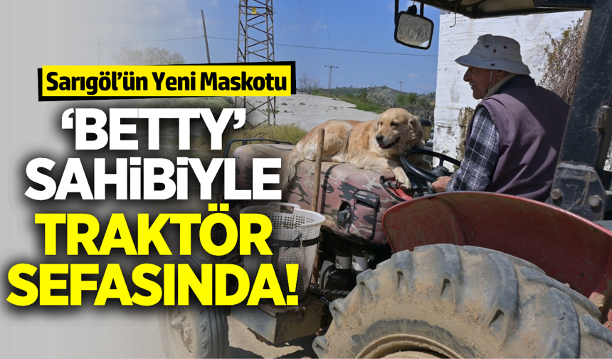 Sarıgöl’ün Sembolü Oldu: ‘Betty’ Sahibiyle Traktör Sefasında