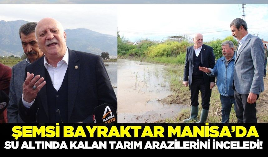 TZOB Genel Başkanı Bayraktar, "Manisa'da 18 bin dekarlık alan zarar gördü"