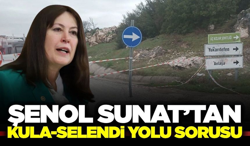 Şenol Sunat, "Ulaşım Çilesini" TBMM Gündemine Taşıdı