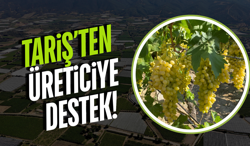 TARİŞ Üzüm Birliği’nden üreticiye destek!