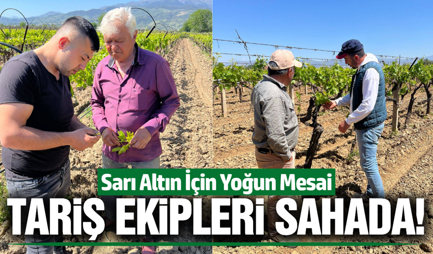 TARİŞ'ten Alaşehirli üreticiye teknik destek!