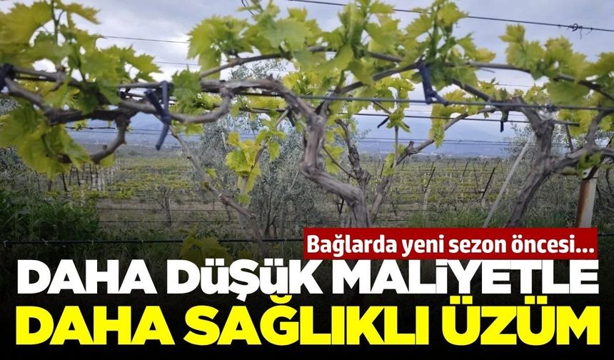 Yeni sezon öncesinde bağlarda hummalı çalışma