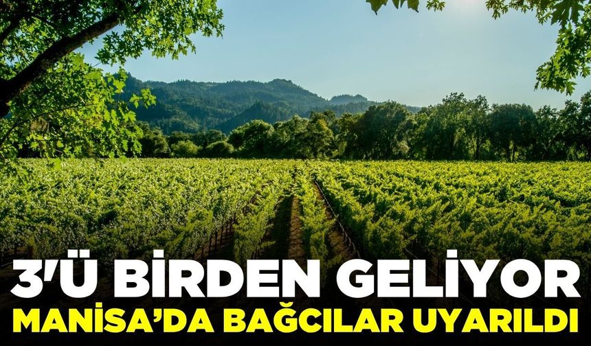Sarıgöl’de bağcılar için kritik uyarı